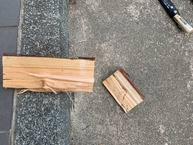 �����Ńi�^�o��i�C�t