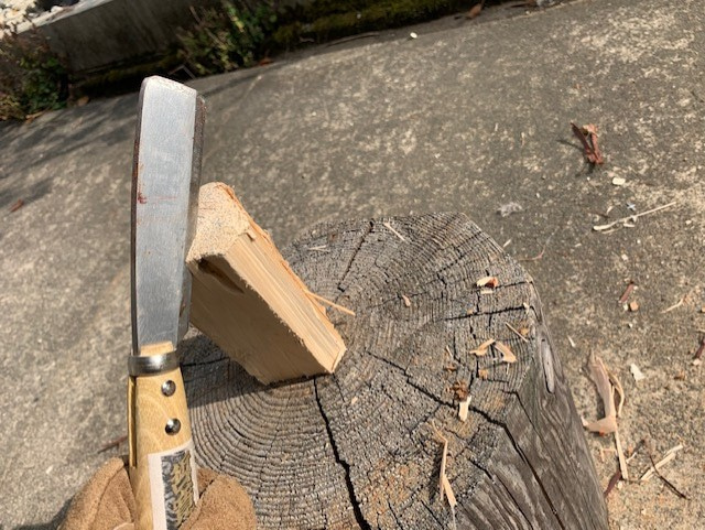 �������邩�犄���Ă���