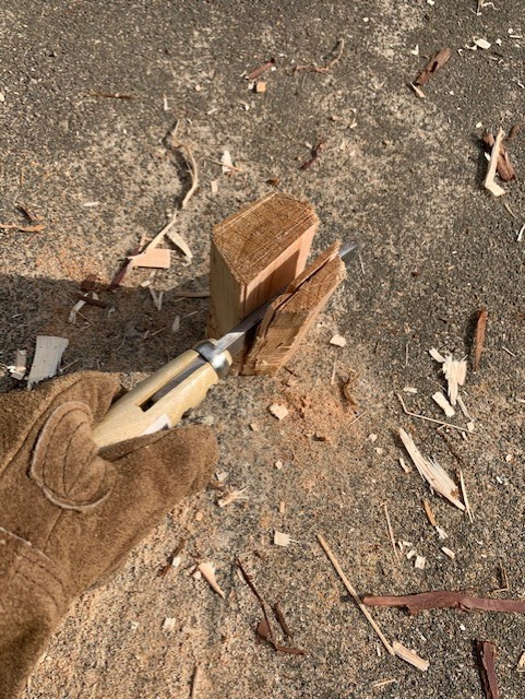 �������邩�犄���Ă���